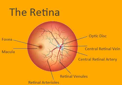 Retina Treatment Delhi