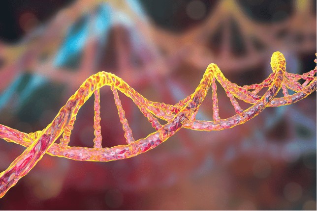 Gene Therapy for Vision Disorders: What You Need to Know